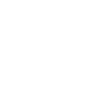 Dynaslux